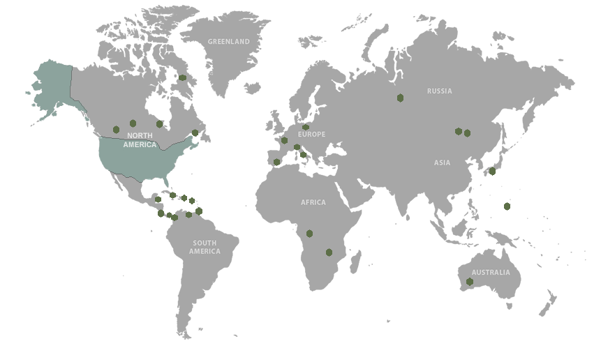 International Deltecs